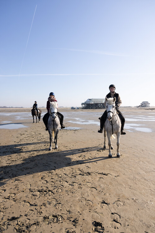 Zwei Reiterinnen am Strand auf weißen Pferden